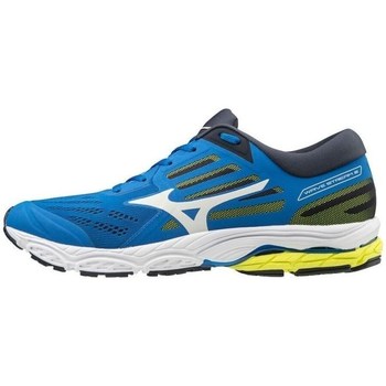Shoes Men Running shoes Mizuno Wave Stream 2 Blue