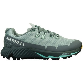 Shoes Women Low top trainers Merrell Agility Peak Flex 3 Grey, Silver, Light blue