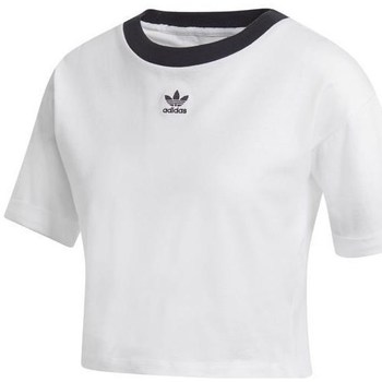 Clothing Women Short-sleeved t-shirts adidas Originals Crop Top White, Black
