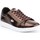 Shoes Women Low top trainers Lacoste Carnaby Evo Brown, White