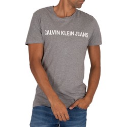 Clothing Men Short-sleeved t-shirts Calvin Klein Jeans Core Institutional T-Shirt grey