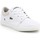 Shoes Men Low top trainers Lacoste Bayliss 218 7-35CAM001083J White