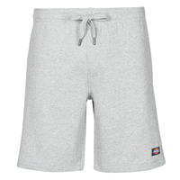 Clothing Men Shorts / Bermudas Dickies CHAMPLIN Grey / Mottled