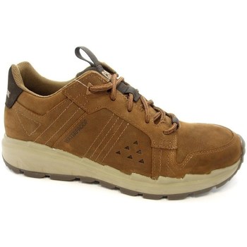 Shoes Men Low top trainers Caterpillar Stratify LO WP Brown