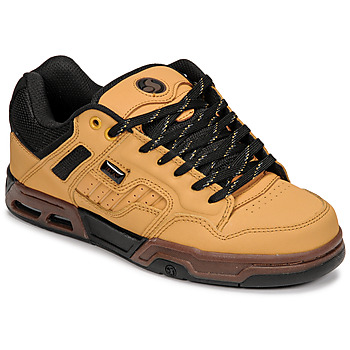DVS  ENDURO HEIR  men's Shoes (Trainers) in Brown