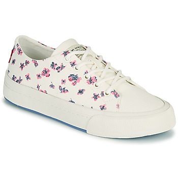 Shoes Women Low top trainers Levi's SUMMIT LOW S White