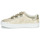 Shoes Women Low top trainers No Name ARCADE STRAPS Gold