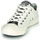 Shoes Women Low top trainers Converse CHUCK TAYLOR ALL STAR DIGITAL DAZE OX White / Black