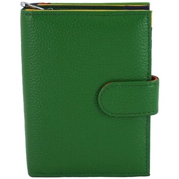 Bags Women Wallets Barberini's D857838 Green