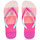 Shoes Women Flip flops Havaianas TOP LOGOMANIA MULTICOLOR Pink