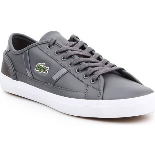 Shoes Men Low top trainers Lacoste Sideline Grey