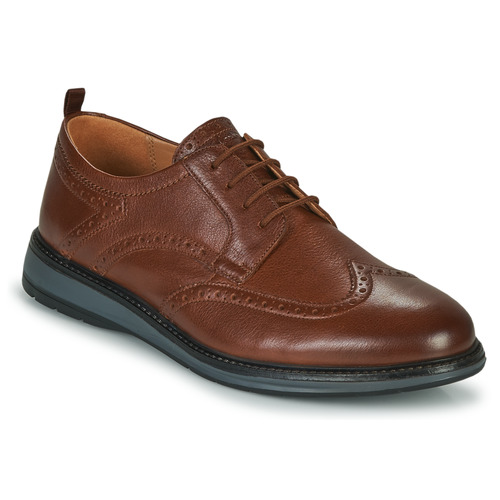Shoes Men Derby Shoes Clarks CHANTRY WING Brown