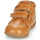 Shoes Boy Hi top trainers Kickers BILLY VELK-2 Camel
