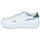 Shoes Women Low top trainers Reebok Classic CLUB C DOUBLE White / Blue
