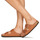 Shoes Women Mules Birkenstock ARIZONA SFB Brown