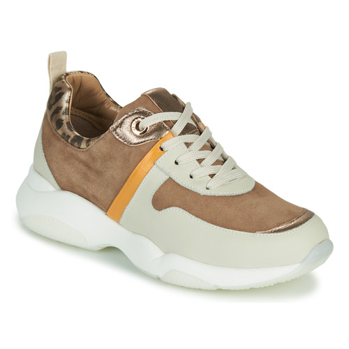 Shoes Women Low top trainers JB Martin WILO Brown