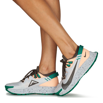 Nike NIKE PEGASUS TRAIL 2 Blue / Green