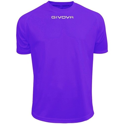 Clothing Men Short-sleeved t-shirts Givova One Purple