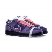 Shoes Low top trainers Nike SB Dunk Low x Concepts 
