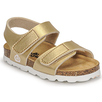 Citrouille et Compagnie  BELLI JOE  girls's Children's Sandals in Gold. Sizes available:4.5 toddler,5.5 toddler,6.5 toddler,7 toddler,7.5 toddler,8.5 toddler,9.5 toddler
