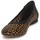 Shoes Women Flat shoes Stéphane Kelian WHITNEY Brown / Black