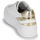 Shoes Women Low top trainers NeroGiardini LAITO White / Gold