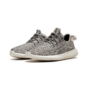 Shoes Low top trainers adidas Originals Yeezy Boost 350 V1 Turtle Dove Turtle Dove
