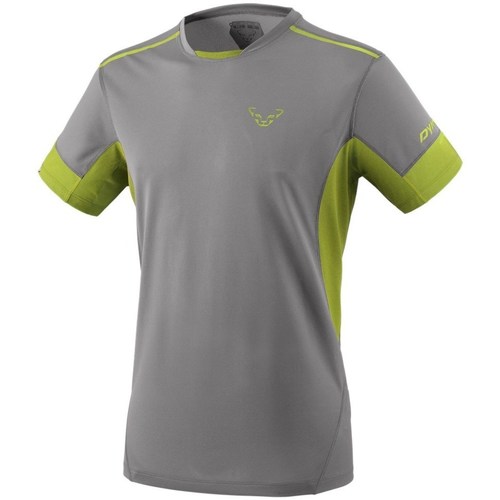 Clothing Men Short-sleeved t-shirts Dynafit Vertical 2 M SS Grey, Celadon