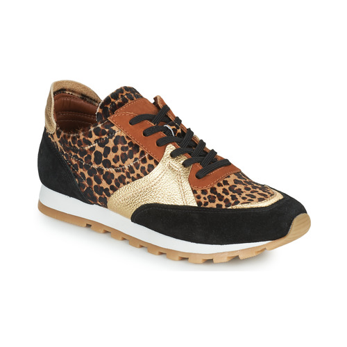 Shoes Women Low top trainers JB Martin GLOIRE Mix / Leopard / Black