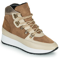 Shoes Women Hi top trainers JB Martin COURAGE Brown