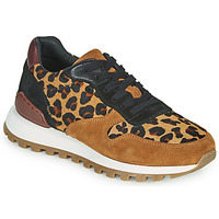 Shoes Women Low top trainers JB Martin HABILLE Brown