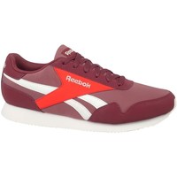 Shoes Men Low top trainers Reebok Sport Royal Classic Jogger Burgundy, Red