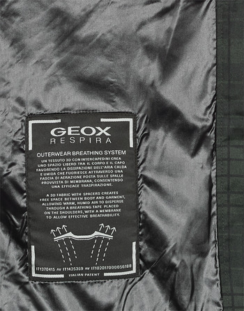 Geox SANDFORD Black / Khaki