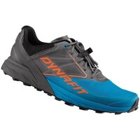 Shoes Men Running shoes Dynafit Alpine Blue, Grey