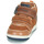 Shoes Boy Hi top trainers Geox NEW FLICK Brown