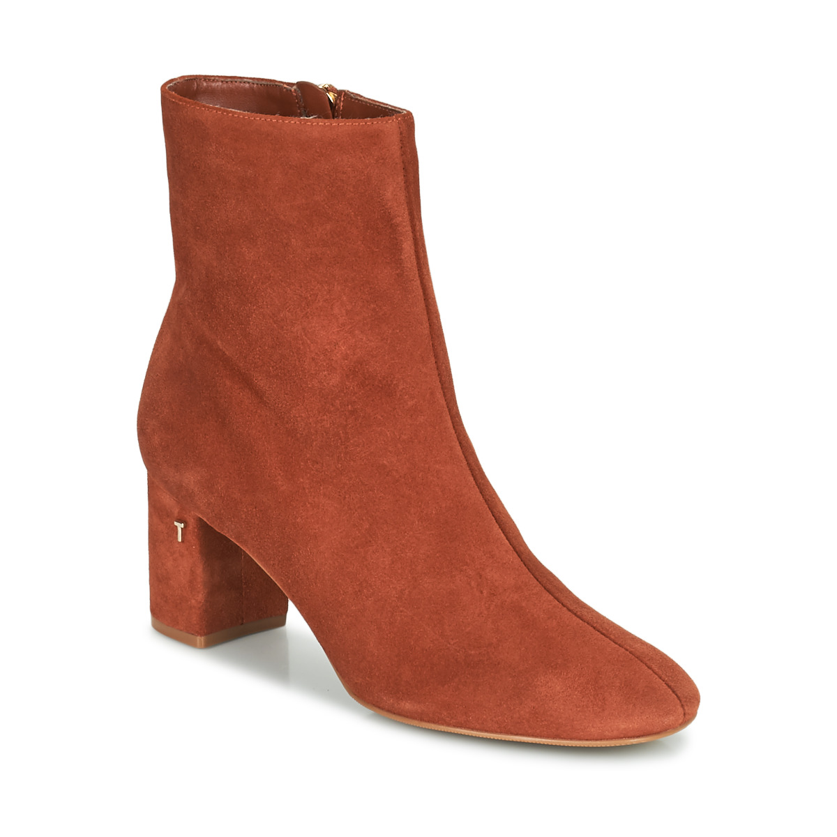 Shoes Women Ankle boots Ted Baker  Brown