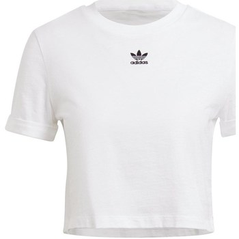 Clothing Women Short-sleeved t-shirts adidas Originals Crop Top White