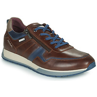 Shoes Men Low top trainers Pikolinos CAMBIL Brown / Blue