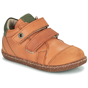 Shoes Boy Hi top trainers Aster WASHAN Camel / Green