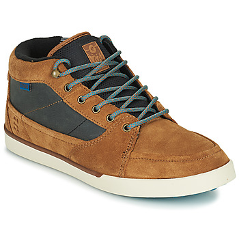 Shoes Men Hi top trainers Etnies FORELAND Brown / Grey