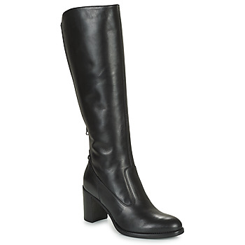 NeroGiardini  -  women's High Boots in Black. Sizes available:3.5,4,5,6,6.5