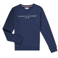 Clothing Boy Sweaters Tommy Hilfiger TERRIS Marine