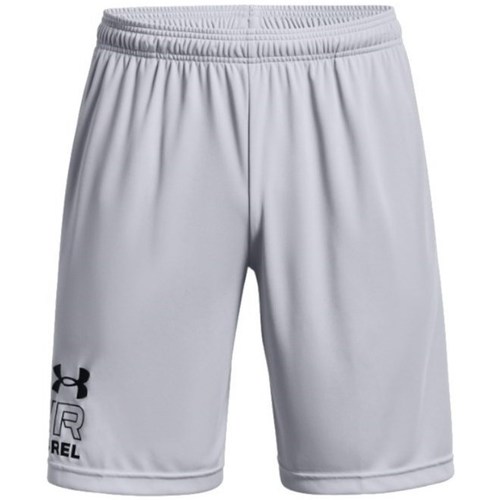 Clothing Men Cropped trousers Under Armour Tech Graphic WM Shorts Grey