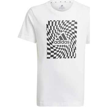 Clothing Boy Short-sleeved t-shirts adidas Originals Graphic Tshirt 1 White