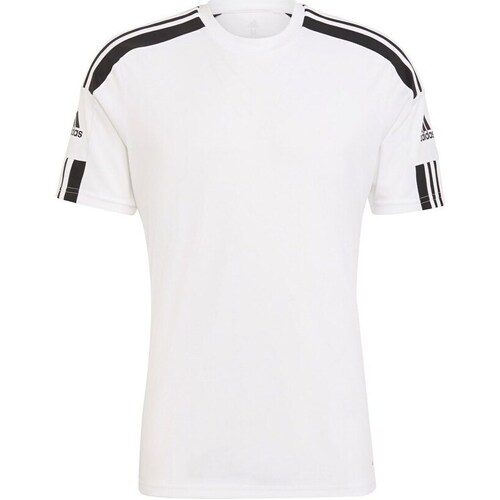 Clothing Men Short-sleeved t-shirts adidas Originals Squadra 21 White