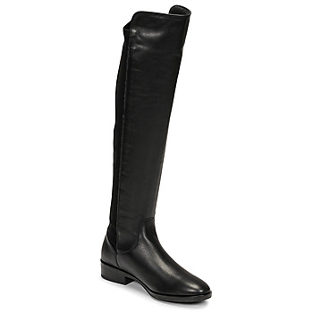 Shoes Women Thigh boots Clarks PURE CADDY Black