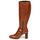 Shoes Women High boots Fericelli PACHA Brown