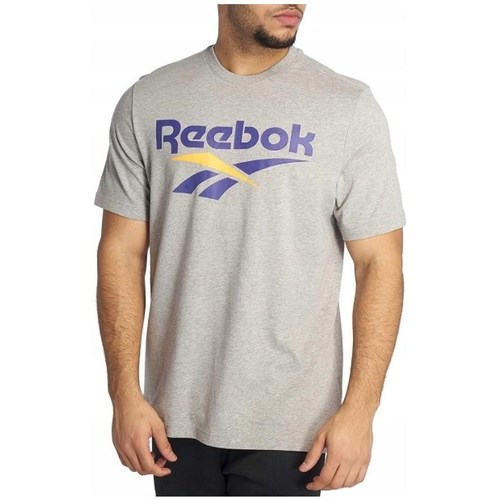 Clothing Men Short-sleeved t-shirts Reebok Sport CL V Tee Grey
