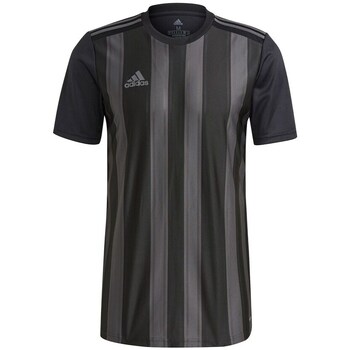 Clothing Men Short-sleeved t-shirts adidas Originals Striped 21 Black, Grey
