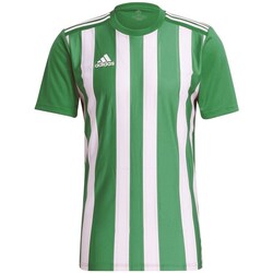Clothing Men Short-sleeved t-shirts adidas Originals Striped 21 Green, White